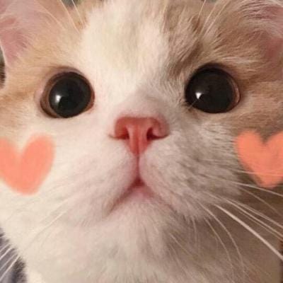 Phạm Hoàng Việt avatar