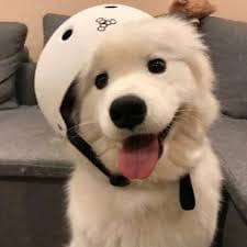 Nguyễn Đình Nam avatar